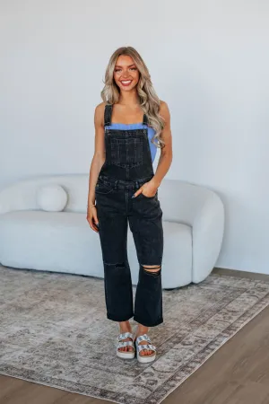 Junah Mica Denim Overalls